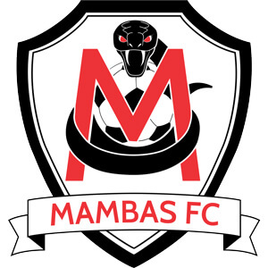 Mambas FC logo